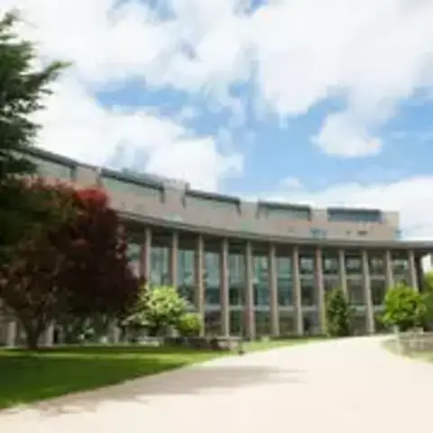A look into Olin's year-end classes & projects.